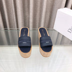 CD Dway Jelly-Colored Platform Heel 100mm Sandals Navy Blue Calskin