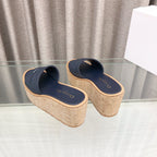 CD Dway Jelly-Colored Platform Heel 100mm Sandals Navy Blue Calskin