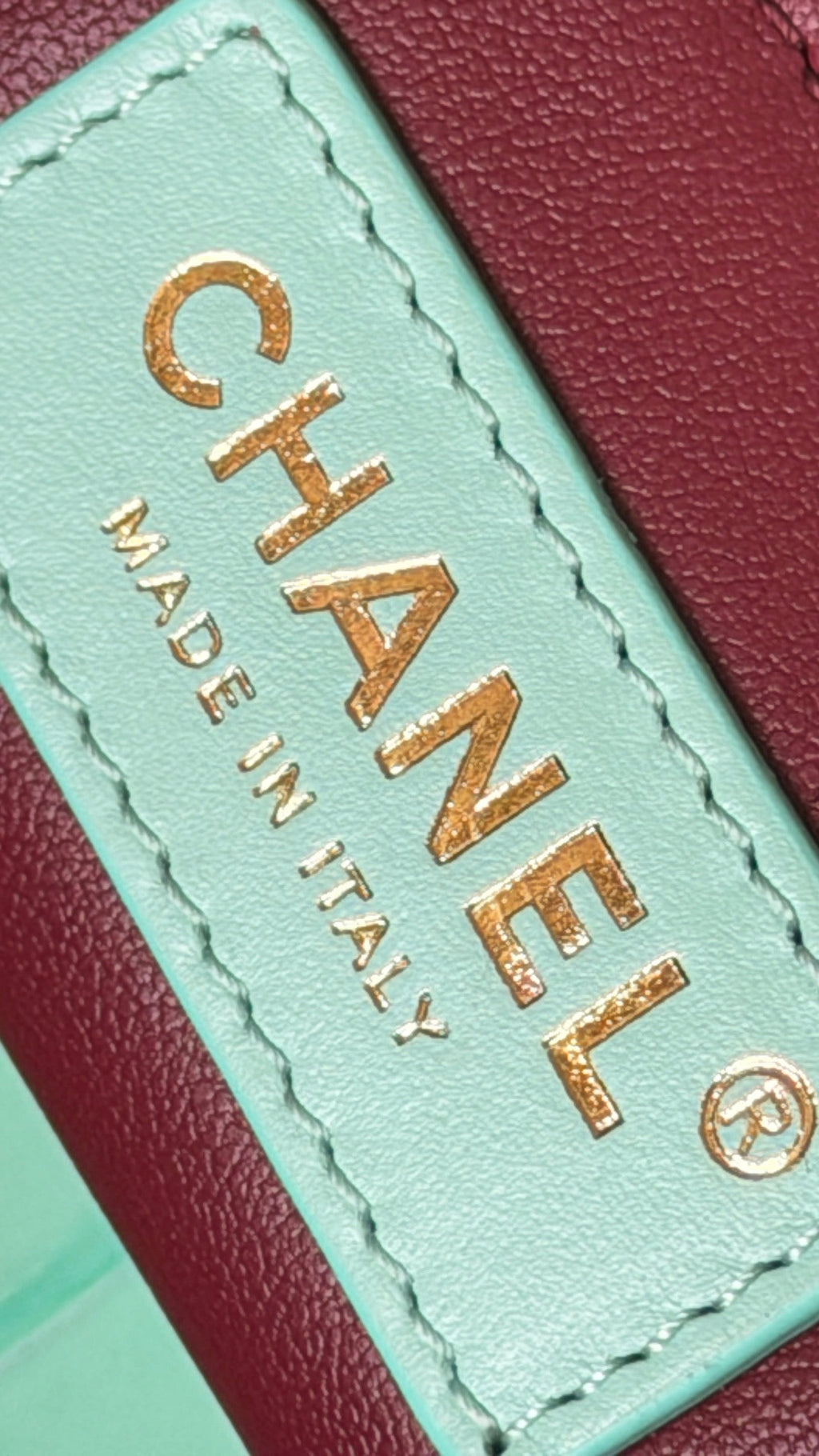 CC 26S Cerf Classic Commuter Tote Bag in Mint Green Crocodile-Embossed Calfskin (made - to - order)