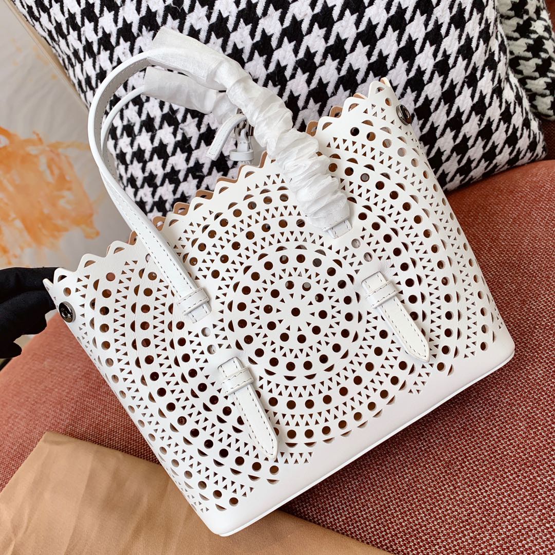 MINA 20 BAG IN WHITE VIENNA CALFSKIN