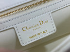 medium caro 25.5 white calfskin