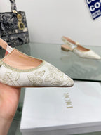 CD 25 Slingback Pump Cream Transparent Mesh