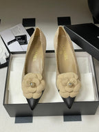 CC 25C Classic Camellia Pointed High Heels Flat 15mm Beige Suede 247608