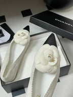 CC 25C Classic Camellia Pointed High Heels Flat 15mm White Suede 247609