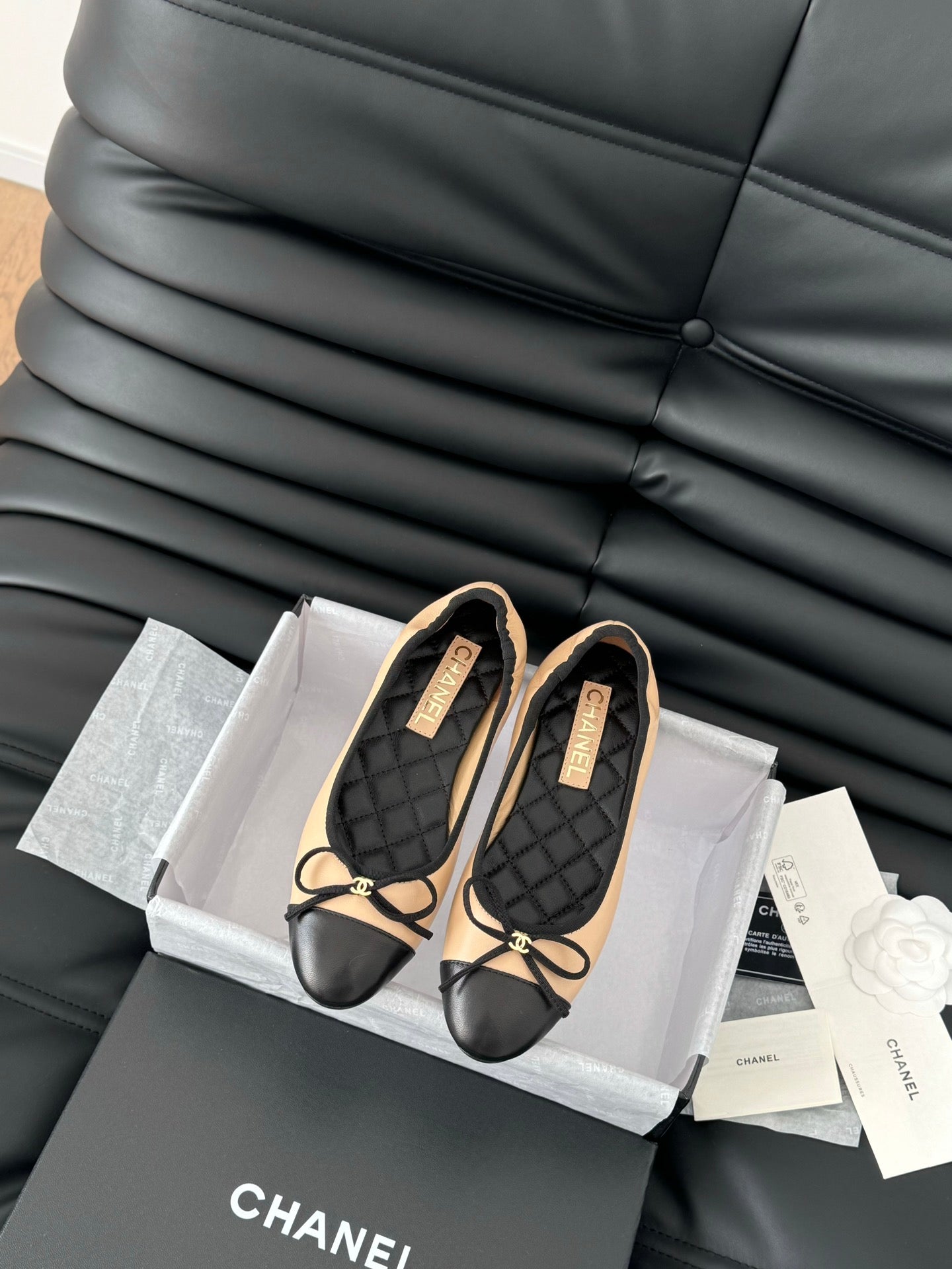 CC Ballet Flats In Beige Lambskin 143538