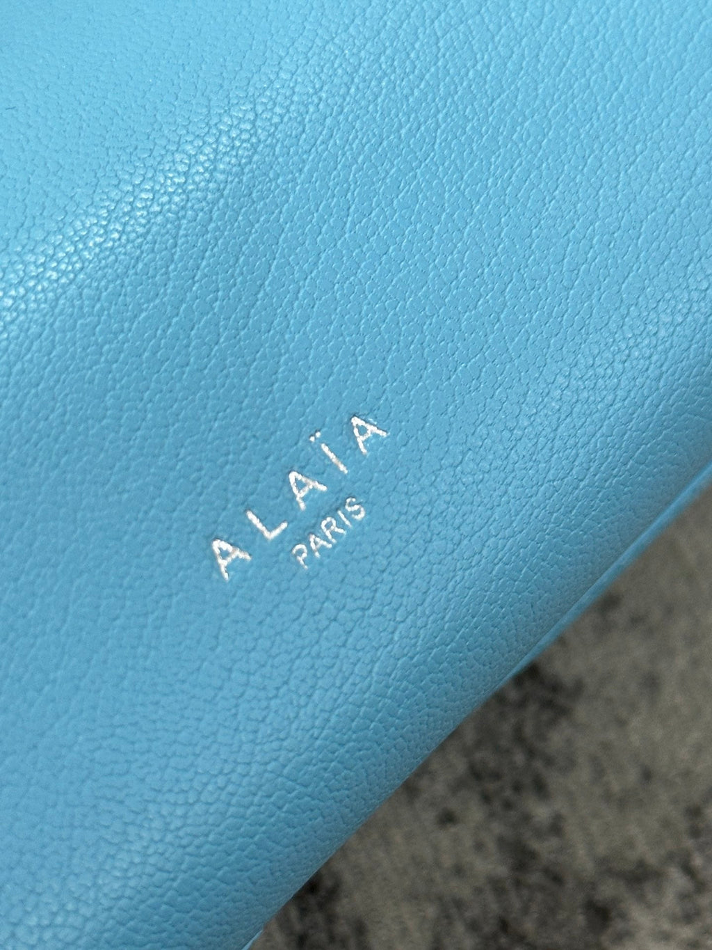 LE TECKEL SMALL BAG 27 IN SKY BLUE GOATSKIN