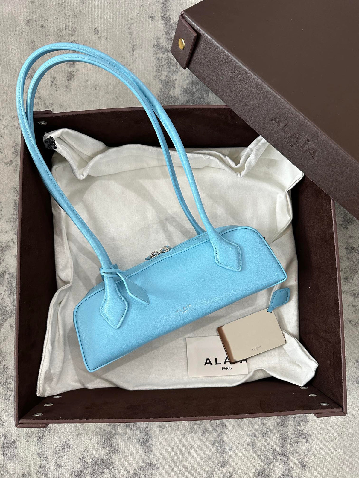 LE TECKEL SMALL BAG 27 IN SKY BLUE GOATSKIN