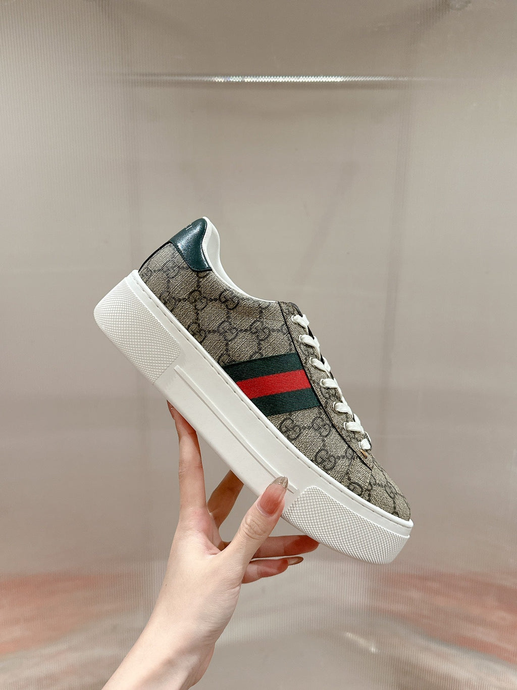 GG Ace Sneaker Begie Ebony Canvas