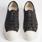 Dior 2026 Oblique Embroidered Black Mesh Leather