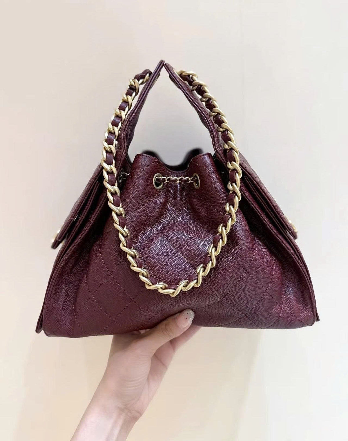 CC 25S Hobo Bag 25cm Burgundy Calfskin